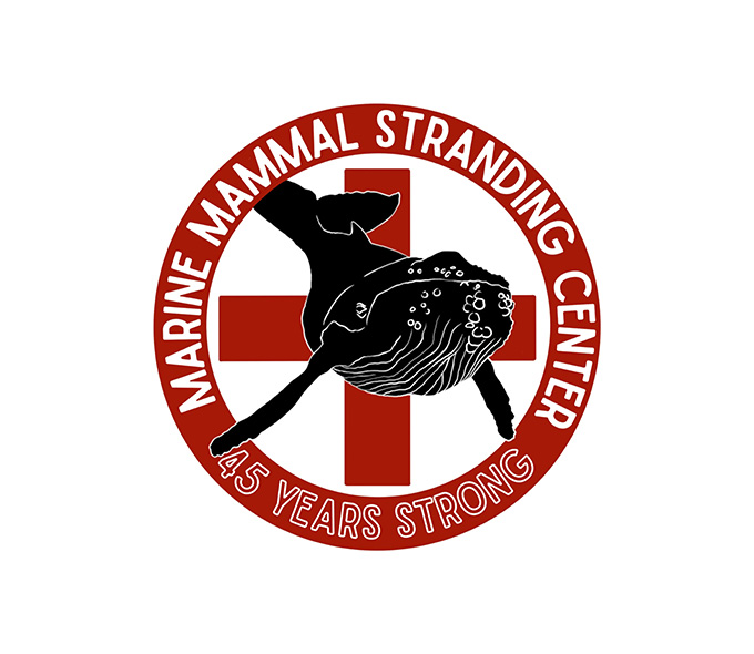 Marine Mammal