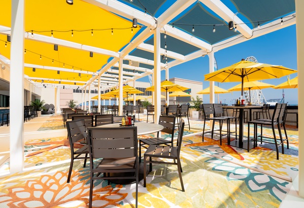 The Terrace