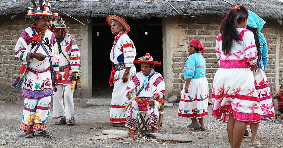 rituales-huicholes
