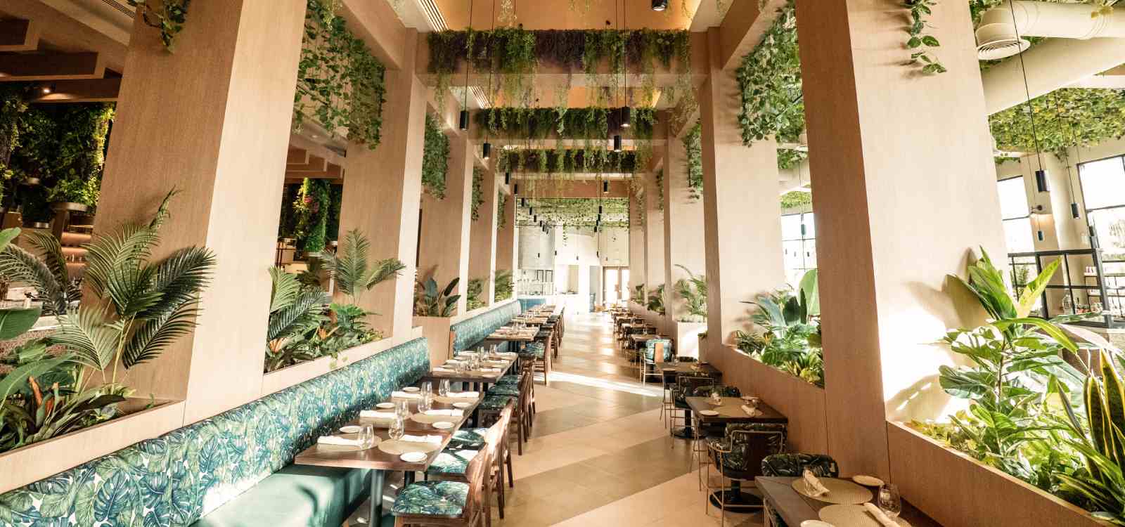 restaurants hard rock hotel punta cana