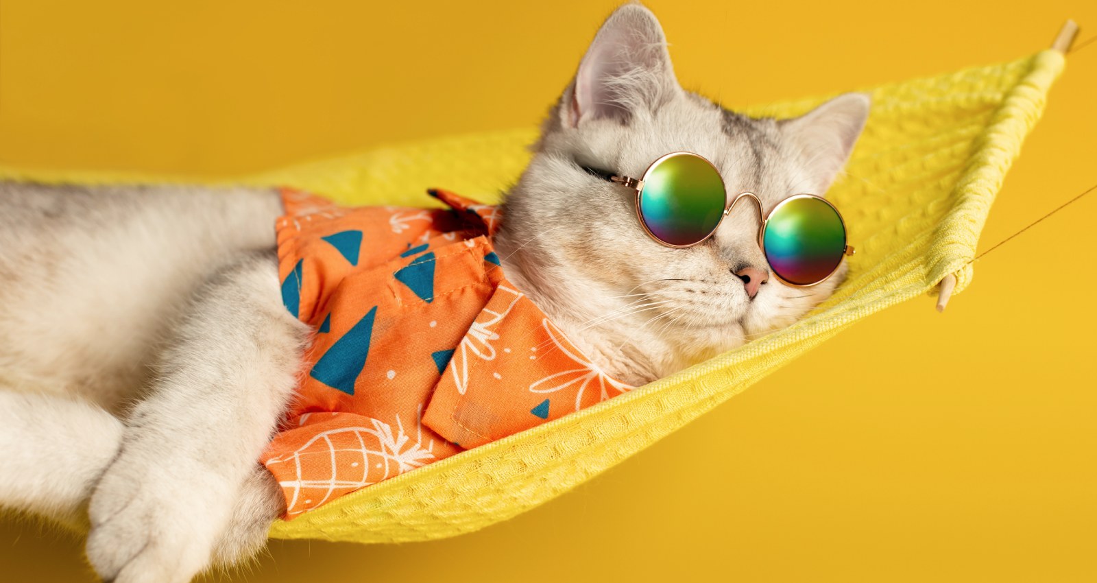 Traveling to the beach to hard rock hotels