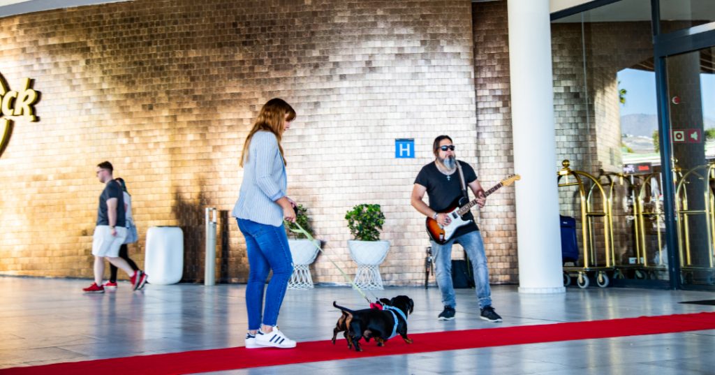 Pet Friendly Hard Rock Hotel Tenerife